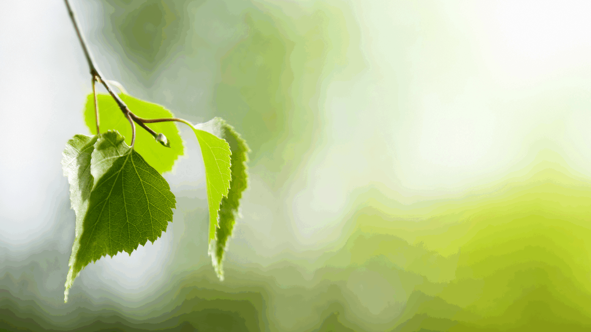 Idesco wishes you a relaxing summer time!
